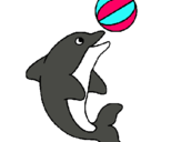 Dibuix Dofí jugant amb una pilota pintat per NATALIA  C.