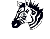 Dibuix Zebra II pintat per MARINA VILCHES
