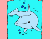 Dibuix Dofí pintat per miriam