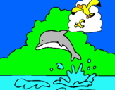 Dibuix Dofí i gavina pintat per insectes