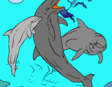 Dibuix Dofins jugant pintat per Alba A,