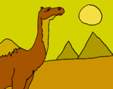Dibuix Camell pintat per pp