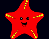 Dibuix Estrella de mar pintat per 8xia