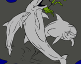Dibuix Dofins jugant pintat per JUDITH ROURE GRIMA