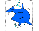Dibuix Dofí pintat per aina zarapico