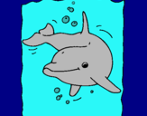 Dibuix Dofí pintat per Ivet Esteve Marquez