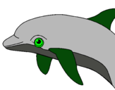 Dibuix Dofí pintat per Fiona