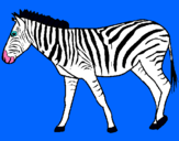 Dibuix Zebra pintat per berta