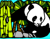 Dibuix Ós Panda i Bambú pintat per marta =)