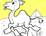 Dibuix Camell pintat per manel
