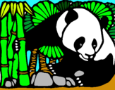 Dibuix Ós Panda i Bambú pintat per Laia Estradera Mateu