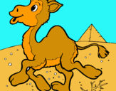 Dibuix Camell pintat per xavi