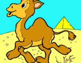 Dibuix Camell pintat per JULIA