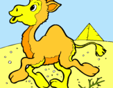 Dibuix Camell pintat per nuria
