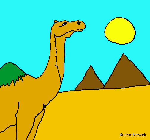 Dibuix Camell pintat per esnupi