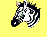 Dibuix Zebra II pintat per maria fernanda portel