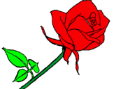 Dibuix Rosa pintat per lorena ramos