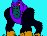 Dibuix Goril·la pintat per MARTI
