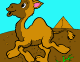 Dibuix Camell pintat per Helena