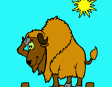 Dibuix Búfal en el desert pintat per bufalo