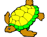 Dibuix Tortuga pintat per tortuga marina