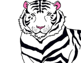 Dibuix Tigre pintat per Tigre Blanco