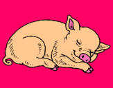 Dibuix Porc dormint pintat per maria fernanda portel