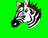 Dibuix Zebra II pintat per sandro
