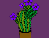 Dibuix Flors de cactus pintat per JUDIT