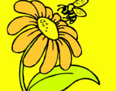 Dibuix Margarida amb abella pintat per elooi