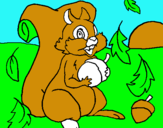 Dibuix Esquirol pintat per eudald