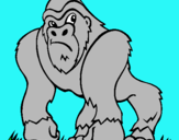 Dibuix Goril·la pintat per GENÍS SANS ESQUÉ
