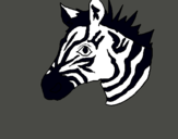 Dibuix Zebra II pintat per ana joya