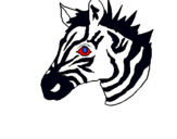 Dibuix Zebra II pintat per wil