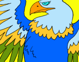 Dibuix Àguila Imperial Romana pintat per elisabeth