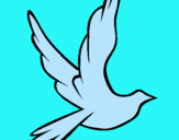 Dibuix Colom de la pau al vol  pintat per owen adam  rovira