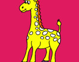 Dibuix Girafa pintat per eric juanola