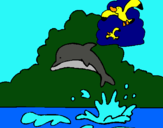 Dibuix Dofí i gavina pintat per Berta López