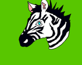 Dibuix Zebra II pintat per sert