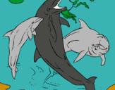 Dibuix Dofins jugant pintat per anna amigó g