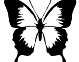 Dibuix Papallona amb ales negres  pintat per formiga 1