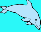 Dibuix Dofí content pintat per jana  riera