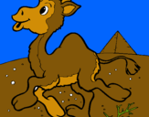 Dibuix Camell pintat per hector