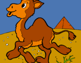 Dibuix Camell pintat per laia p