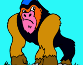 Dibuix Goril·la pintat per genis