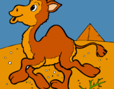 Dibuix Camell pintat per laia pons