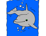 Dibuix Dofí pintat per Ada