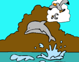 Dibuix Dofí i gavina pintat per meritxell torres urrea