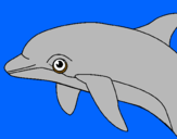 Dibuix Dofí pintat per meritxell torres urrea