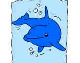 Dibuix Dofí pintat per dofi blau